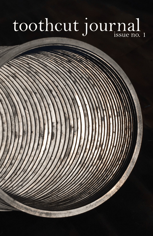 toothcut journal no. 1 - digital copy